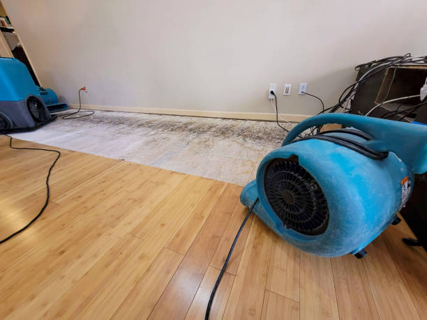 Professional Water Damage Repair technician working in Nineveh, IN